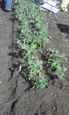 f:id:NCOM:20110922205409j:image