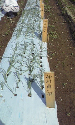 f:id:NCOM:20110922205611j:image