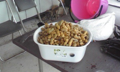 f:id:NCOM:20110922205825j:image
