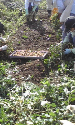 f:id:NCOM:20110922224130j:image