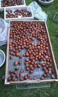 f:id:NCOM:20111002221424j:image