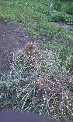 f:id:NCOM:20111024233606j:image