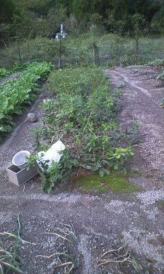 f:id:NCOM:20111024233618j:image