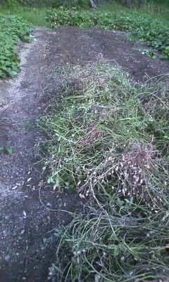 f:id:NCOM:20111024233638j:image