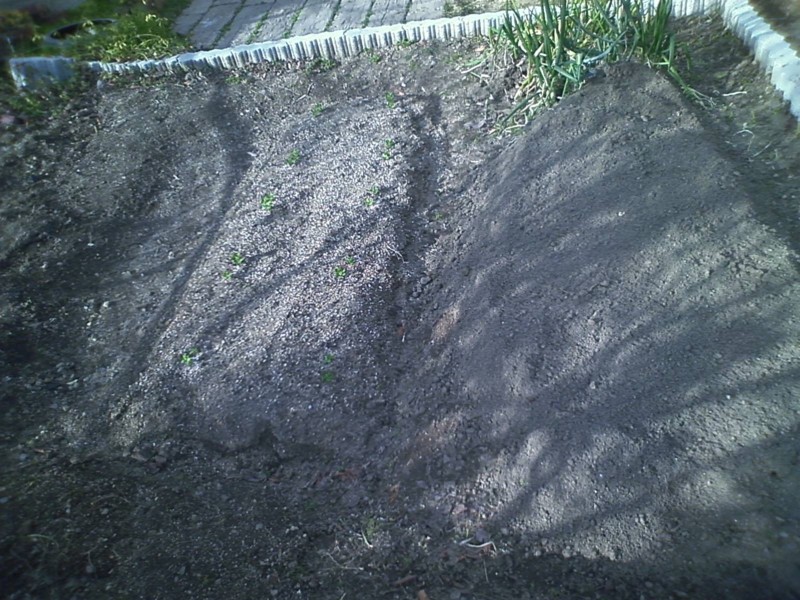 f:id:NCOM:20120209155537j:image