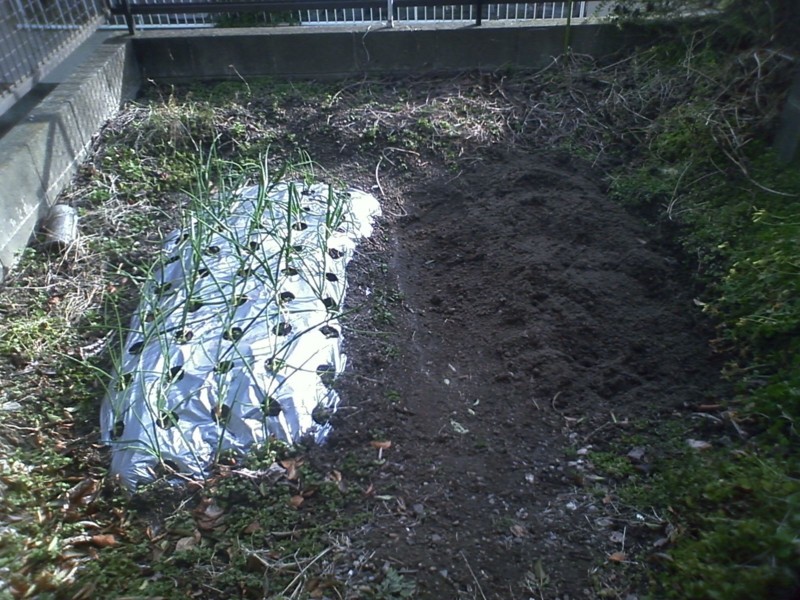 f:id:NCOM:20120209155551j:image
