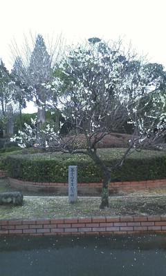 f:id:NCOM:20120309123303j:image