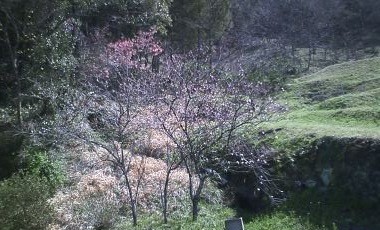 f:id:NCOM:20120401153815j:image