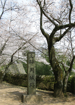 f:id:NCOM:20120409183957j:image