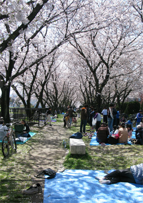 f:id:NCOM:20120409184000j:image
