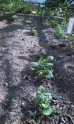 f:id:NCOM:20120412173655j:image f:id:NCOM:20120412173655j:image