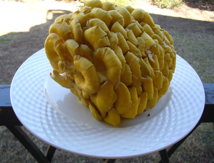 f:id:NCOM:20120421225700j:image