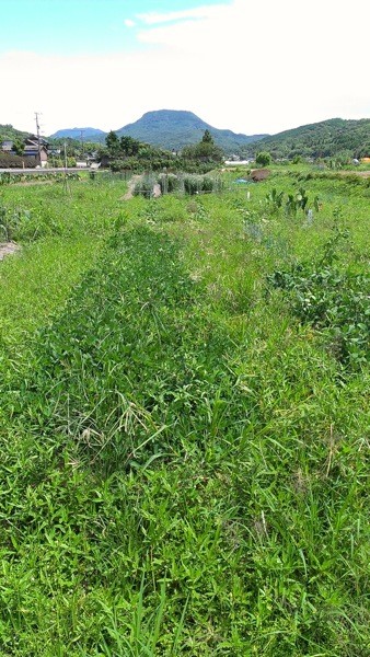 f:id:NCOM:20120821182508j:image