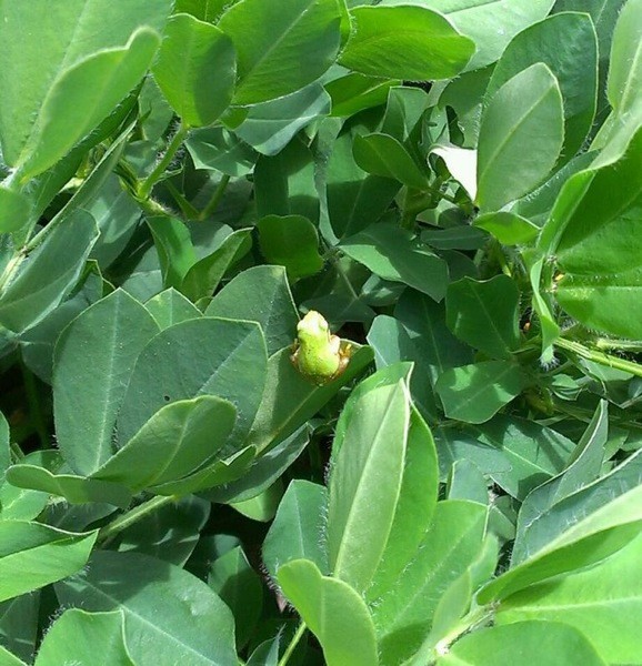 f:id:NCOM:20120821182534j:image