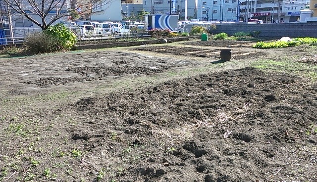 f:id:NCOM:20121128161212j:image