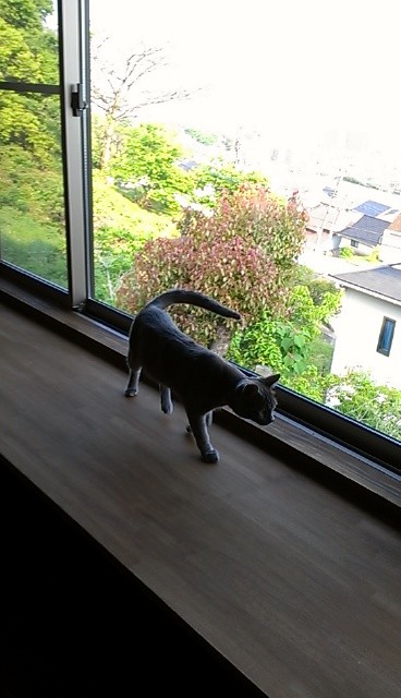 f:id:NCOM:20130504195506j:image