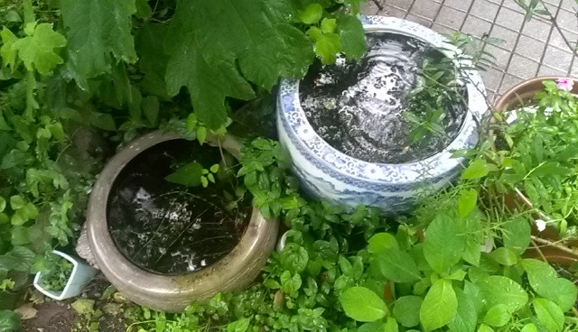 f:id:NCOM:20130703171529j:image