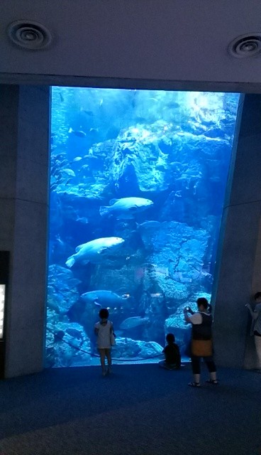 f:id:NCOM:20130824085129j:image