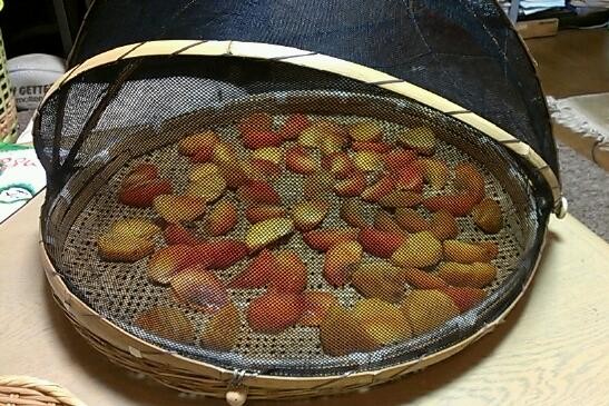f:id:NCOM:20131028202922j:image