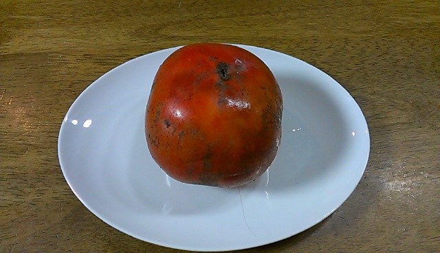 f:id:NCOM:20131028203649j:image