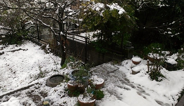 f:id:NCOM:20140214184746j:image