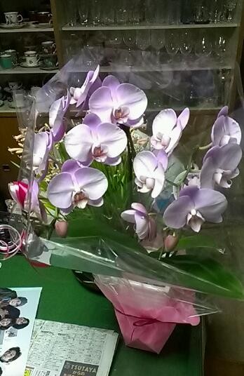 f:id:NCOM:20140321034852j:image