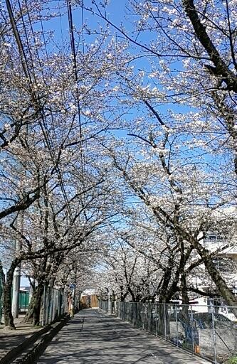 f:id:NCOM:20140328204852j:image