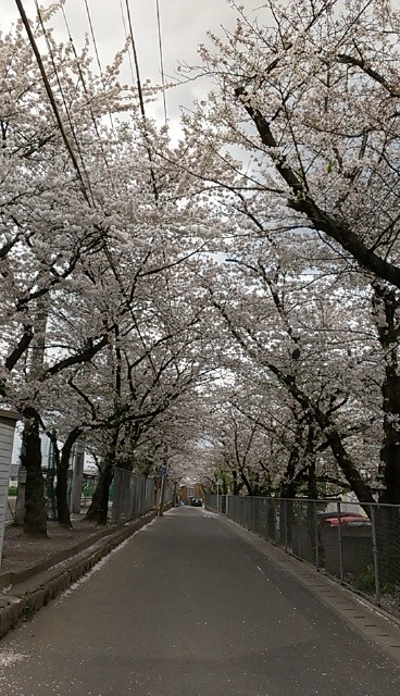 f:id:NCOM:20140403190856j:image