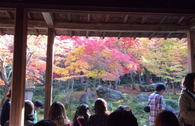 f:id:NCOM:20141125172702j:image