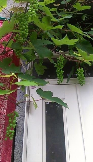 f:id:NCOM:20150618174750j:image