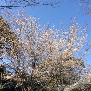 f:id:NCOM:20160320220408j:image