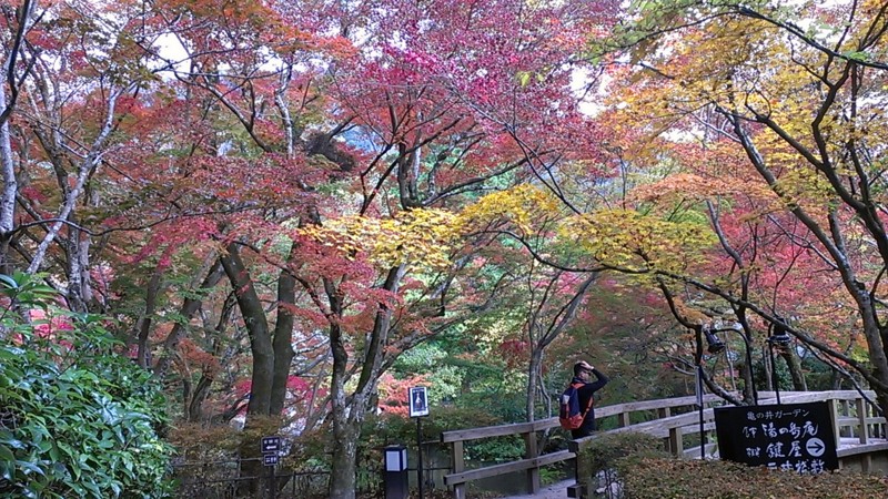 f:id:NCOM:20161117183134j:image
