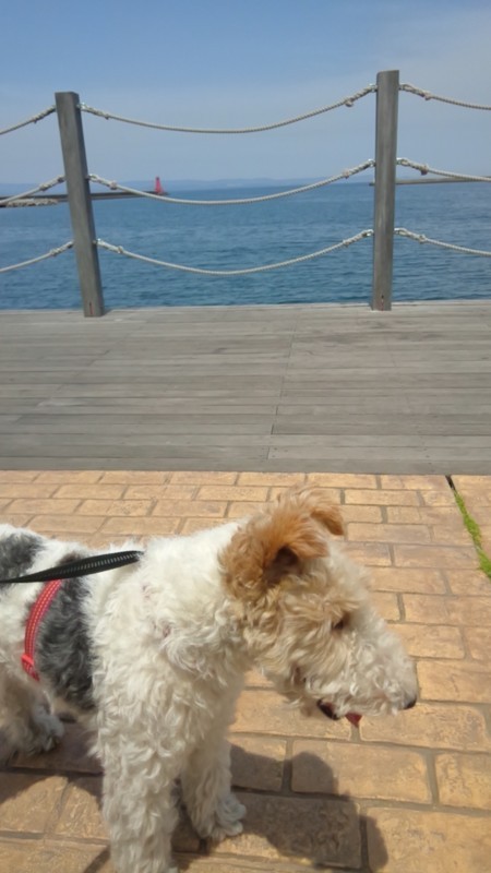 f:id:NCOM:20180505202535j:image
