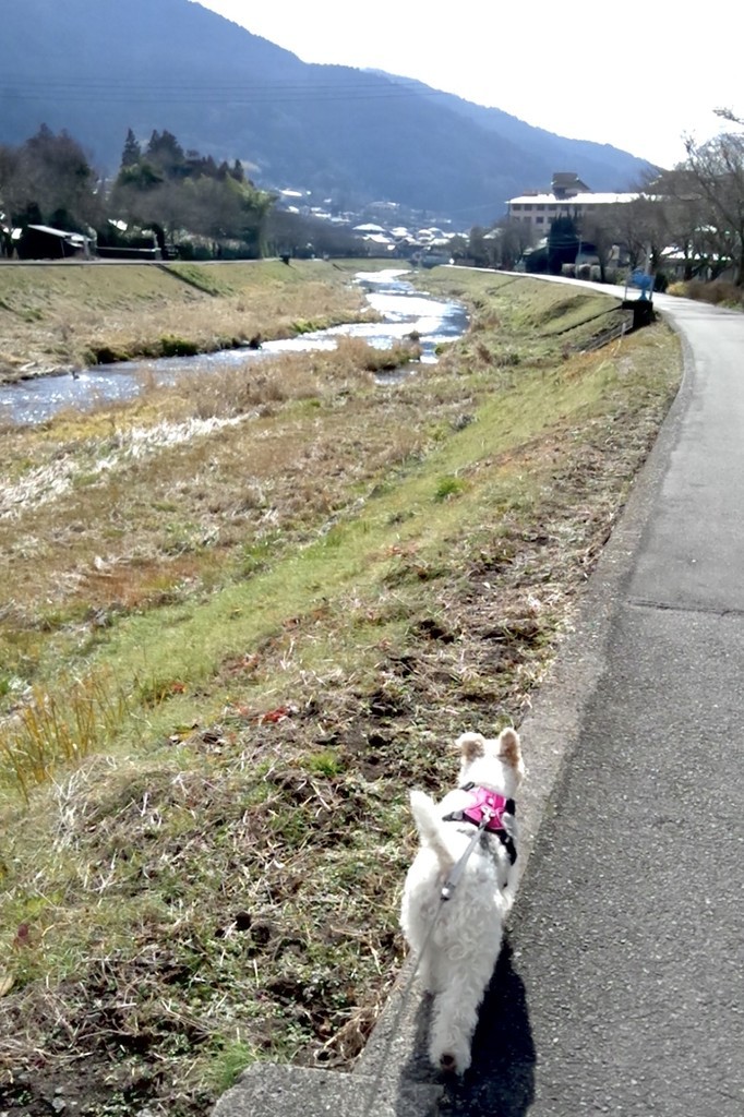 f:id:NCOM:20190120215043j:plain