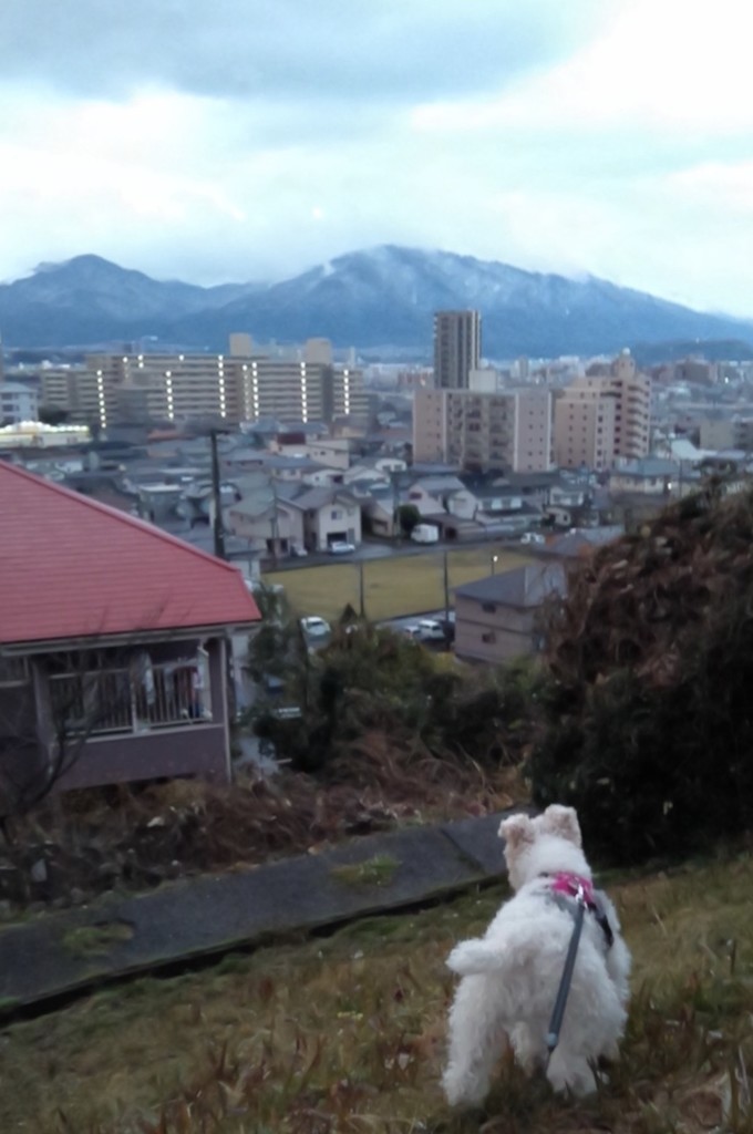 f:id:NCOM:20190127005356j:plain f:id:NCOM:20190127005356j:plain