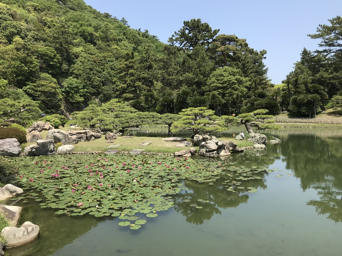 f:id:NCOM:20190503055645j:plain