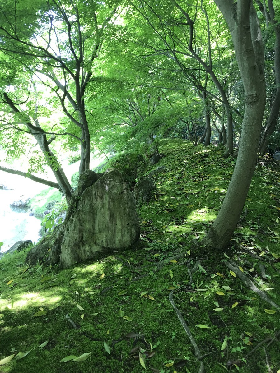 f:id:NCOM:20190503055754j:plain