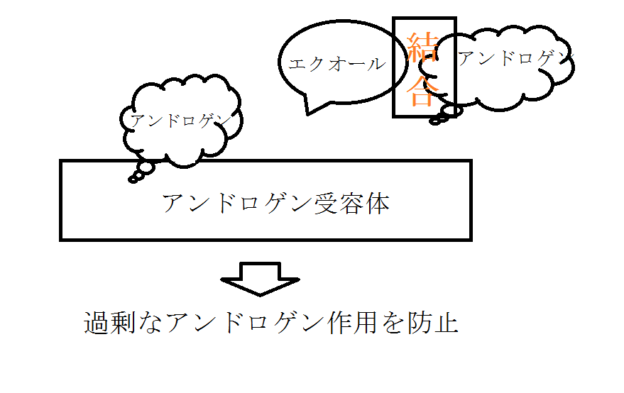 f:id:NEKOPPY:20190829102242p:plain
