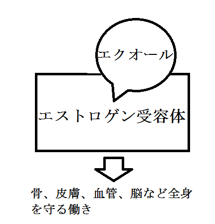 f:id:NEKOPPY:20190829102354p:plain