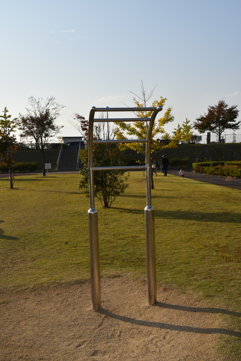 f:id:NEKOPPY:20201111102147j:plain