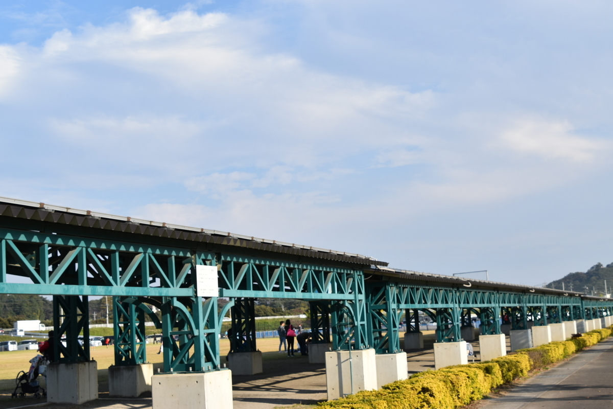 f:id:NEKOPPY:20201111102830j:plain