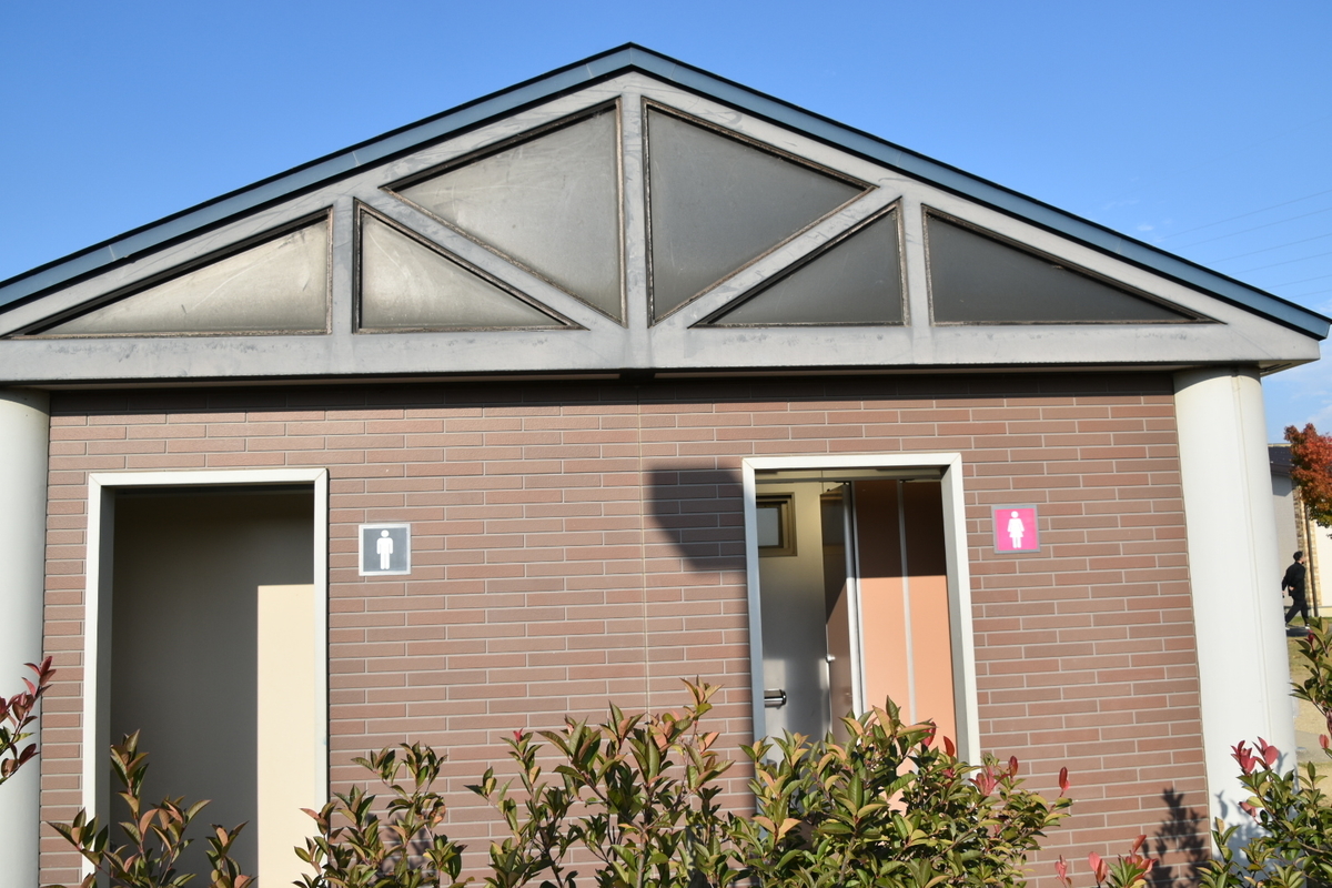 f:id:NEKOPPY:20201111102843j:plain