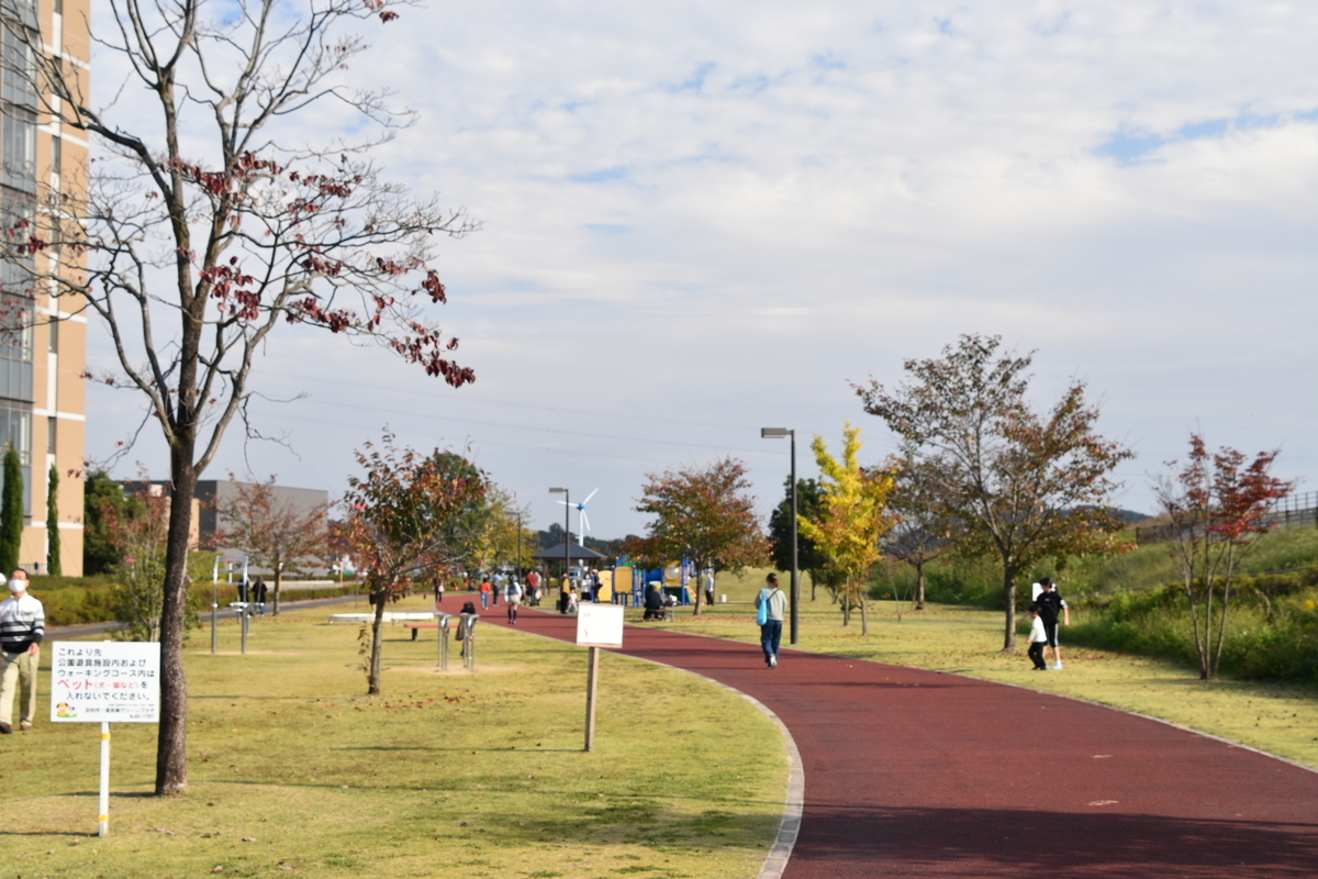 f:id:NEKOPPY:20201111103927j:plain