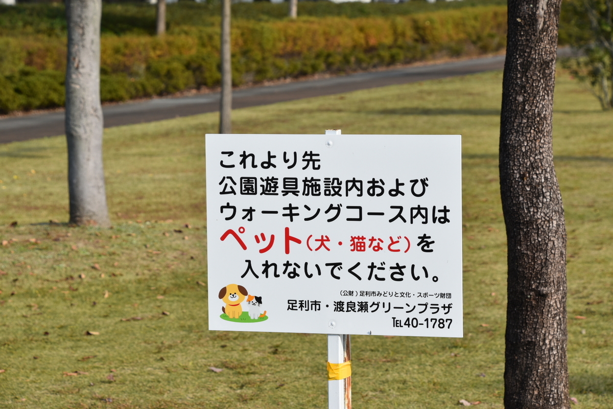 f:id:NEKOPPY:20201111103944j:plain