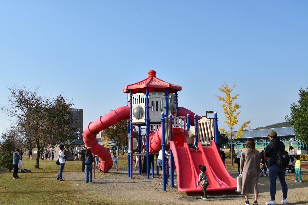 f:id:NEKOPPY:20201111105034j:plain