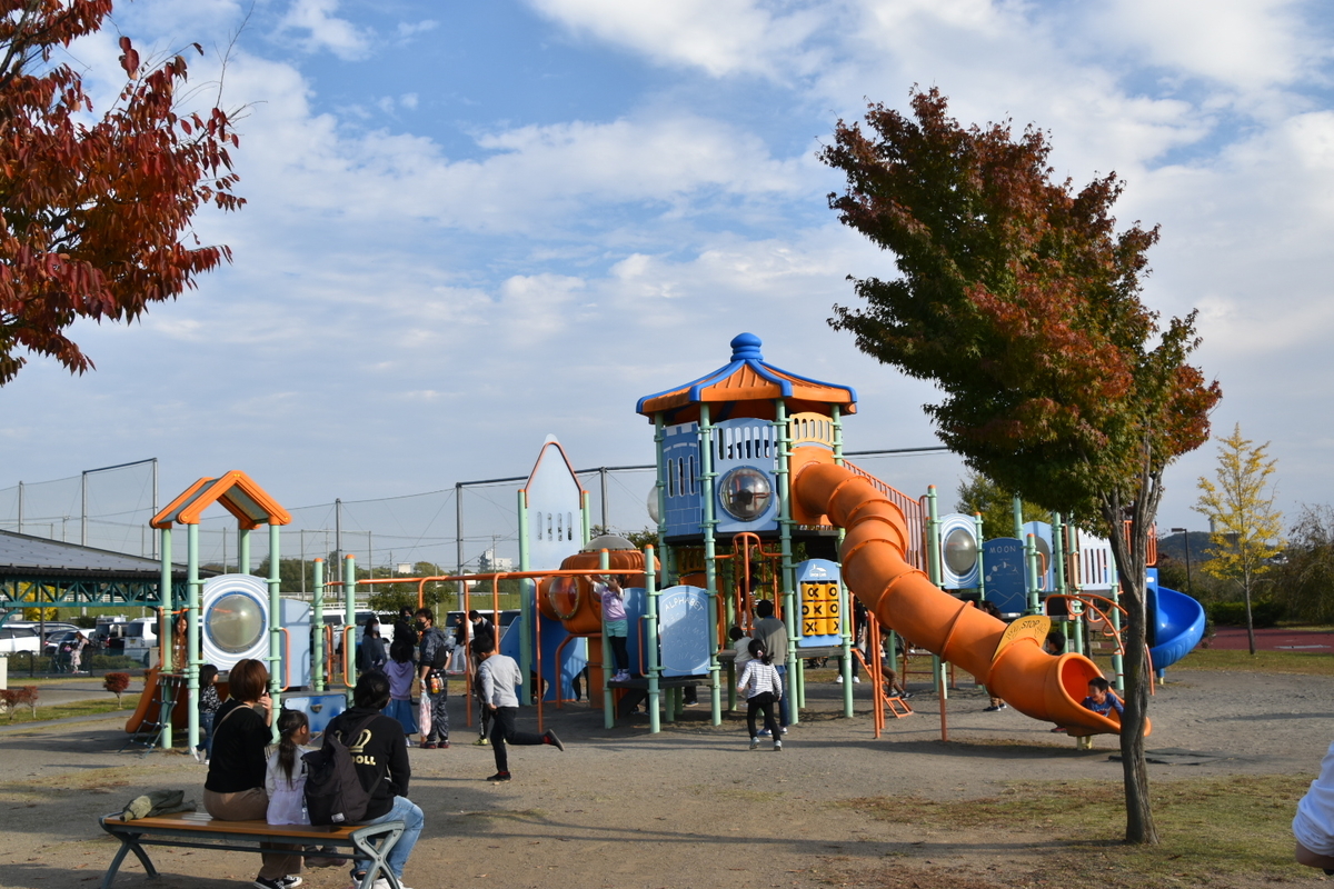 f:id:NEKOPPY:20201111105107j:plain