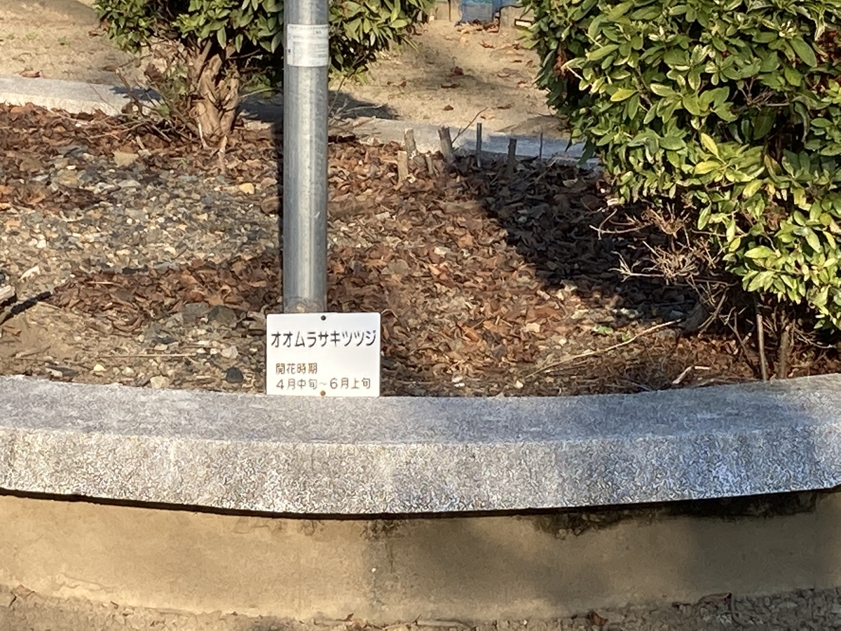 f:id:NEKOPPY:20201117225020j:plain