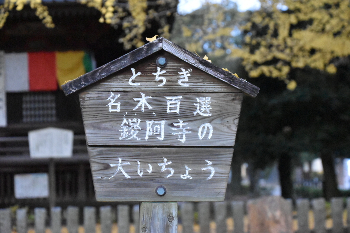 f:id:NEKOPPY:20201125101809j:plain