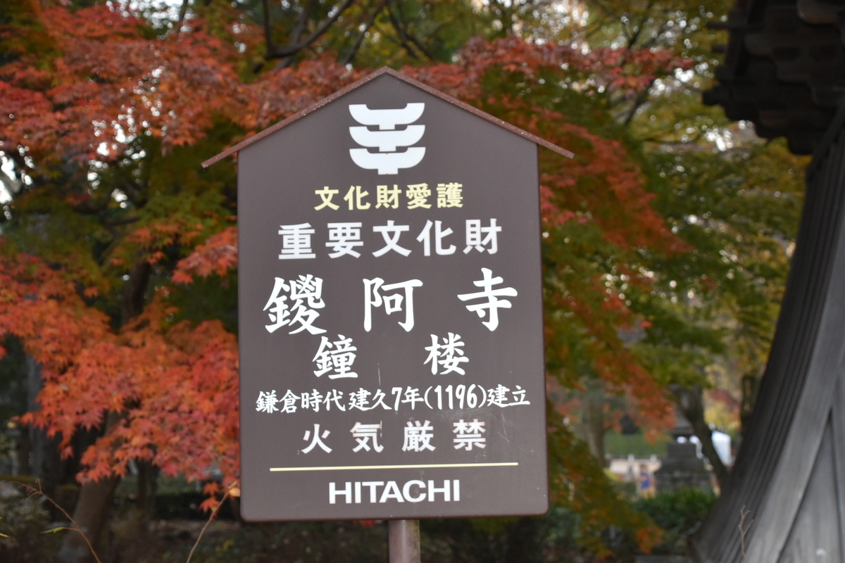 f:id:NEKOPPY:20201125101840j:plain