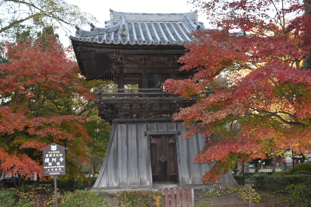 f:id:NEKOPPY:20201125101849j:plain